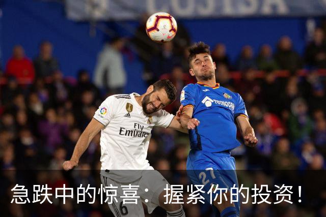 急跌中的惊喜：握紧你的投资！